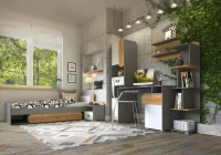 Kolekcja Carini to kompleksowe rozwiązanie do urządzenia każdego wnętrza, obejmujące biurko, komody, szafkę RTV, regały, stolik kawowy i półki wiszące.