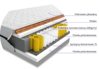 a45232efbb40891960ee5b4b2e9d8252