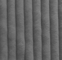 2a1737e76e04d29731650579ee9c6dc1