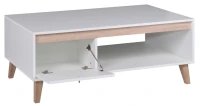 Ława kawowa z otwartym schowkiem Oviedo OV-03 w kolorze Biały/San Remo Jasne - sklep meblowy BIRD Meble