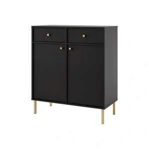 Komoda z szufladami do salonu Sakai 2 2F 2S T826 Czarny