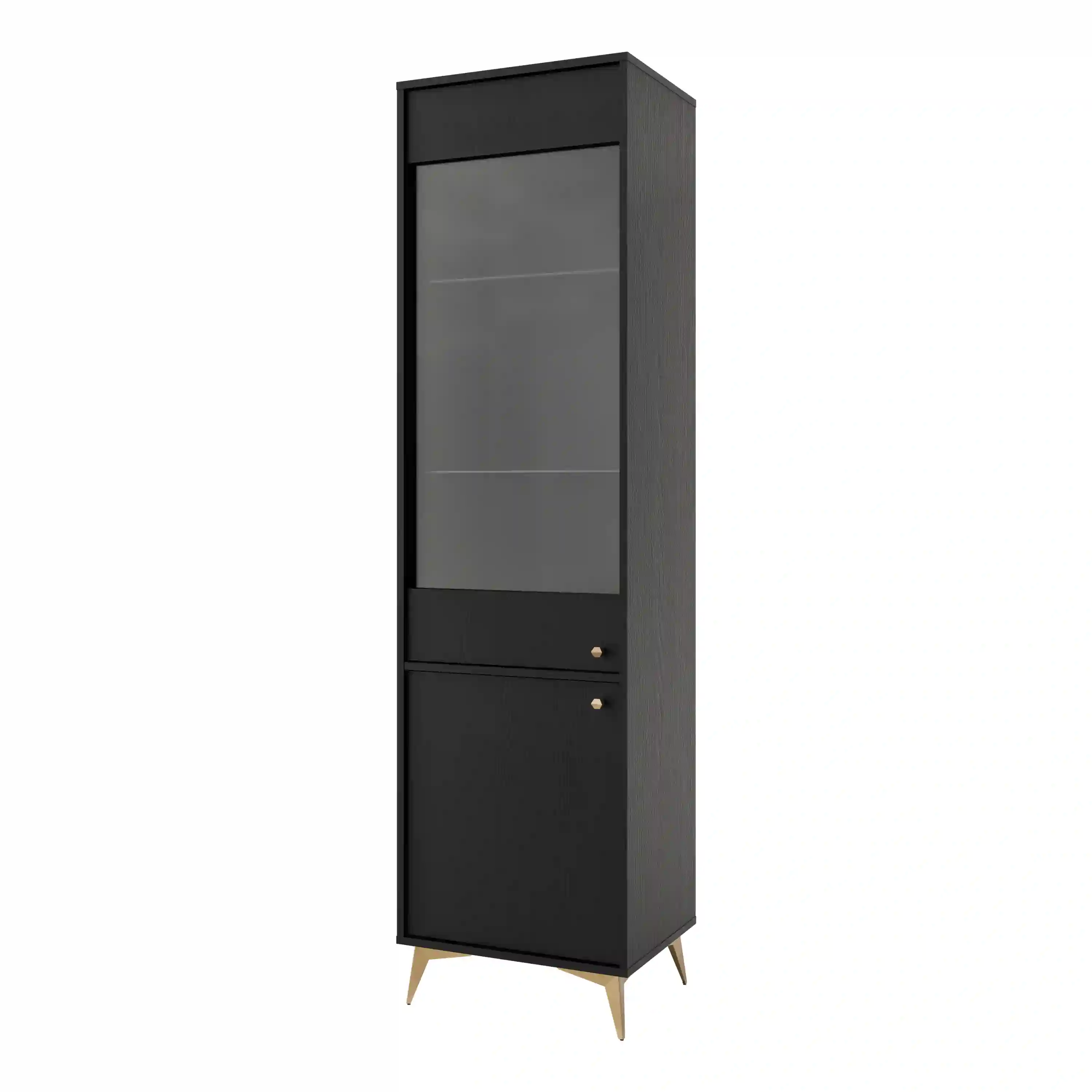 Witryna szklana do salonu Sakai 2F T101 Czarny