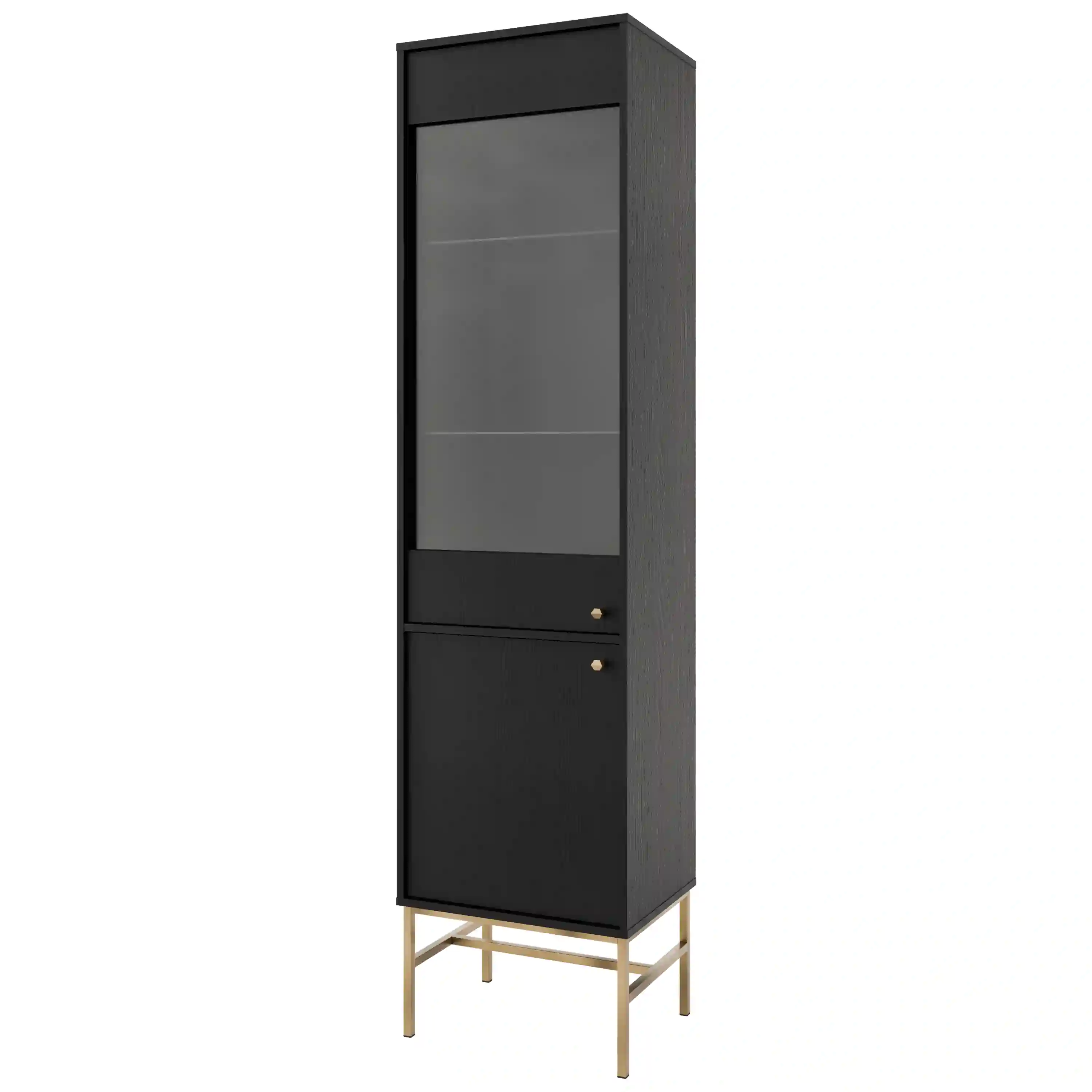 Witryna szklana do salonu Sakai 2F T101 Czarny