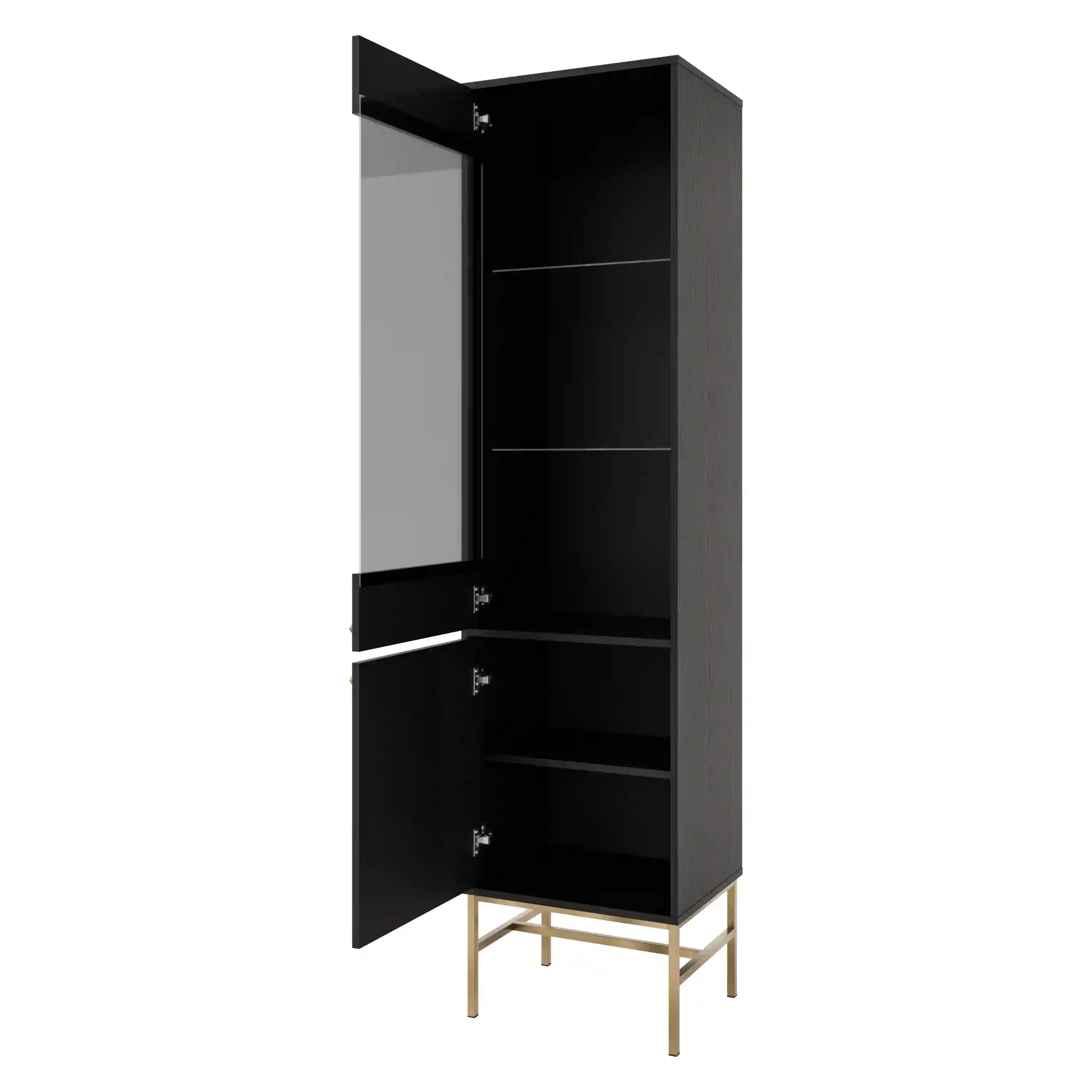 Witryna szklana do salonu Sakai 2F T101 Czarny