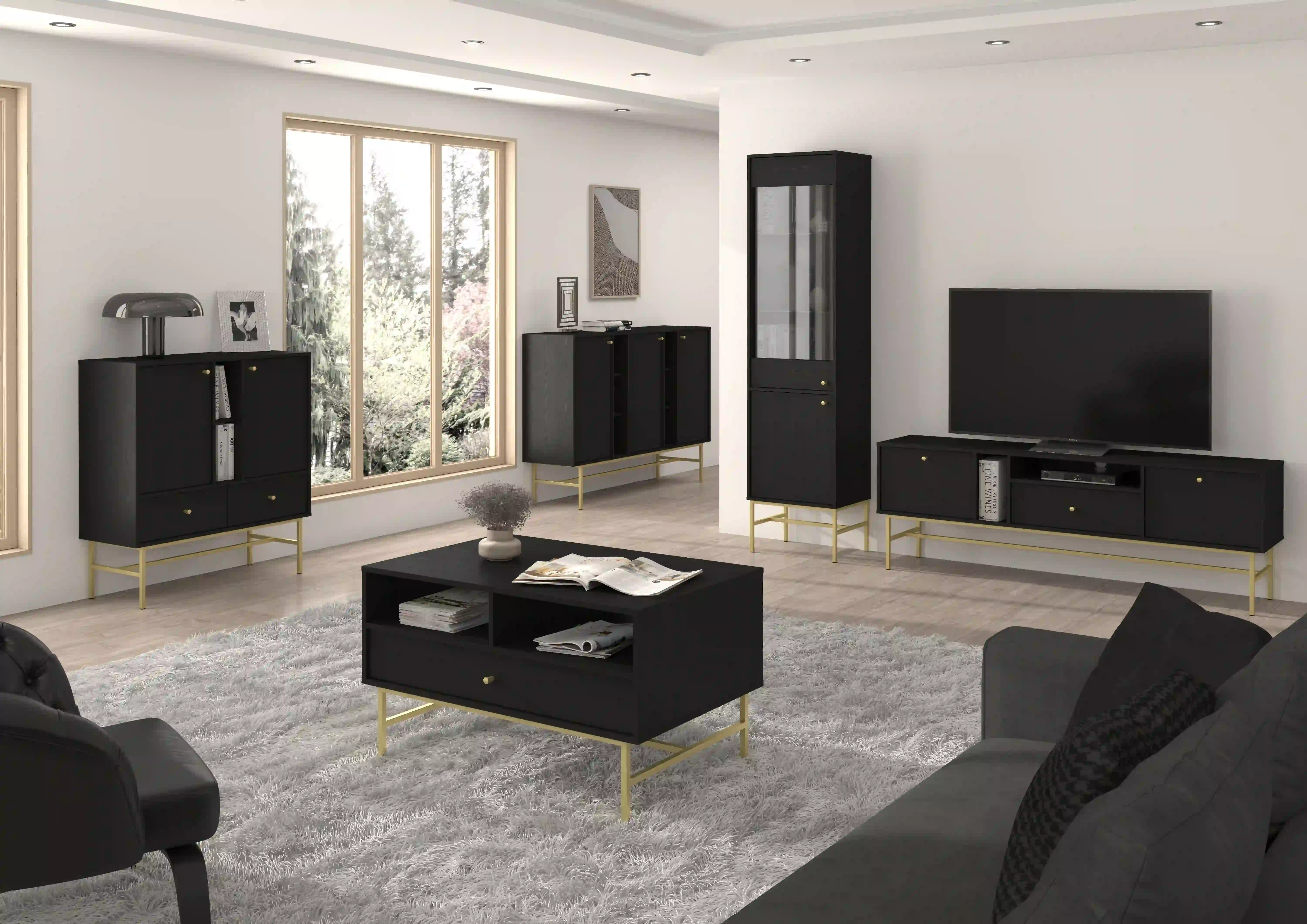 Witryna szklana do salonu Sakai 2F T101 Czarny