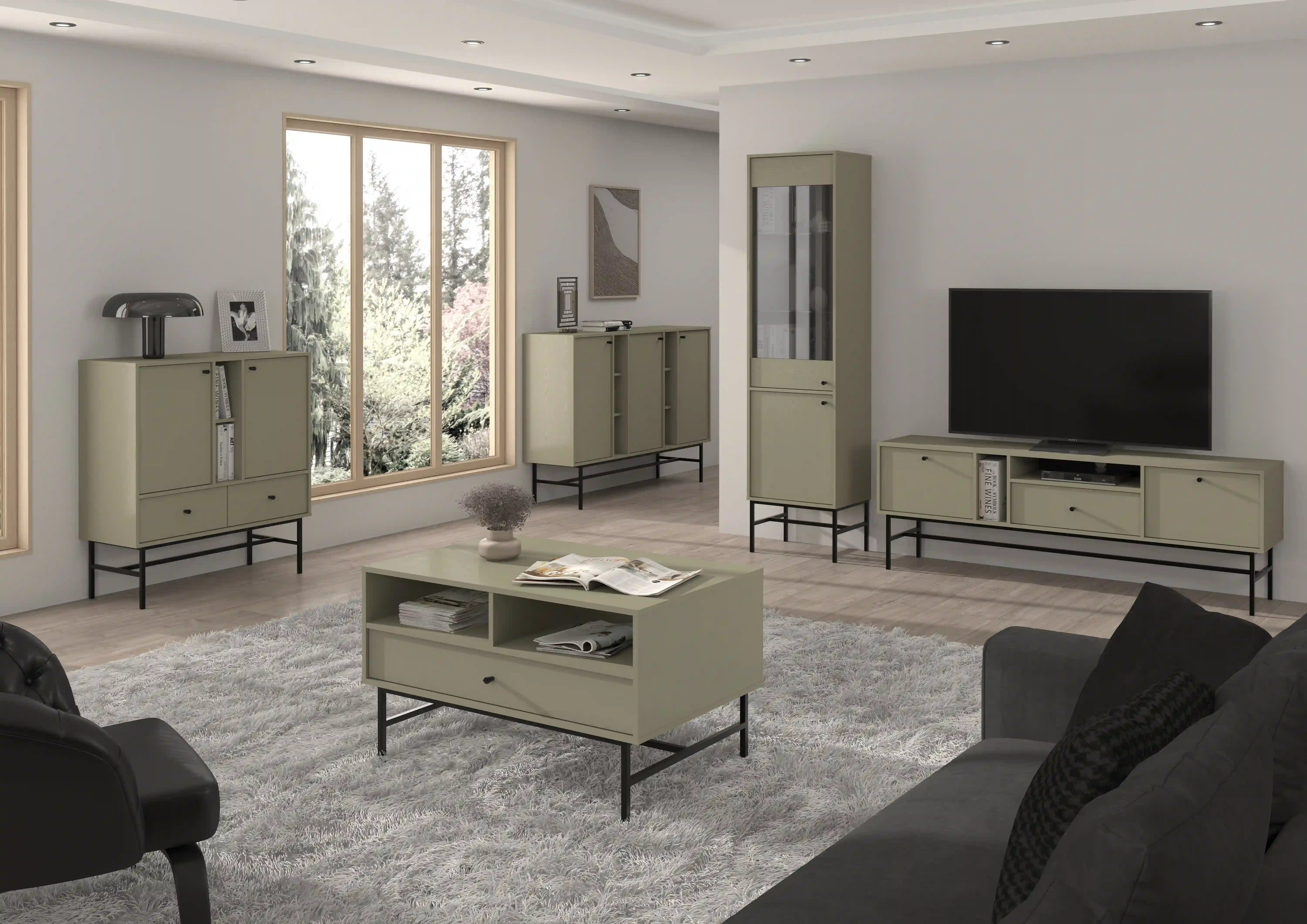 Witryna szklana do salonu Sakai 2F T101 Eukaliptus